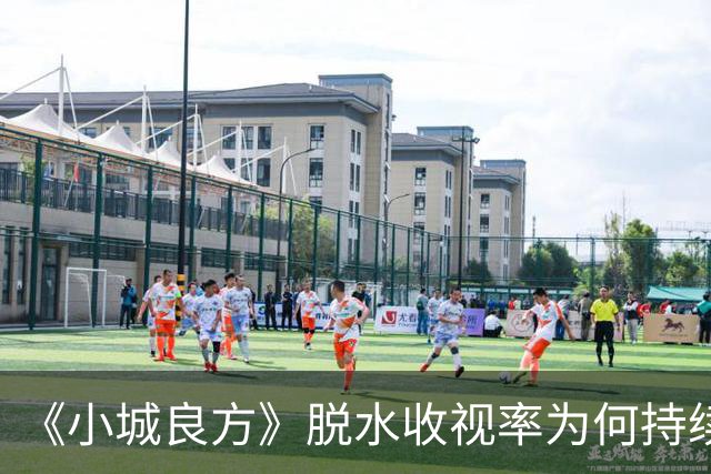 《小城良方》脱水收视率为何持续低迷？大屏，放大了肖战演技问题