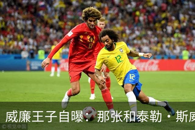 威廉王子自曝：那张和泰勒·斯威夫特的合影，我本想把他挪出去
