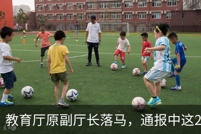 教育厅原副厅长落马，通报中这20个字刺痛了千万教师的心！