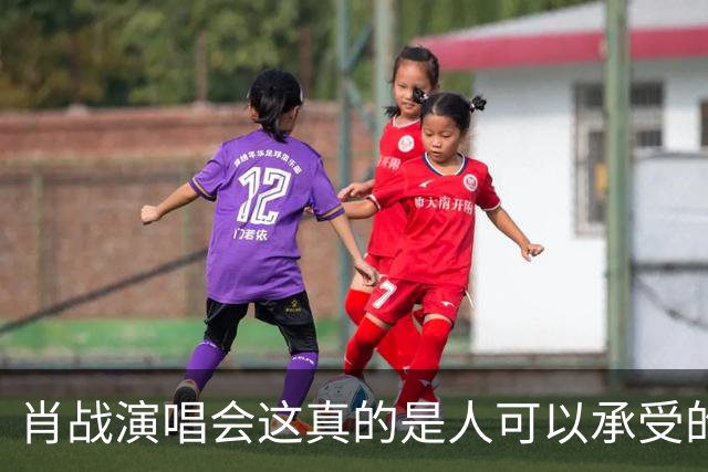 肖战演唱会这真的是人可以承受的吗？散场后还设心理疏导岗