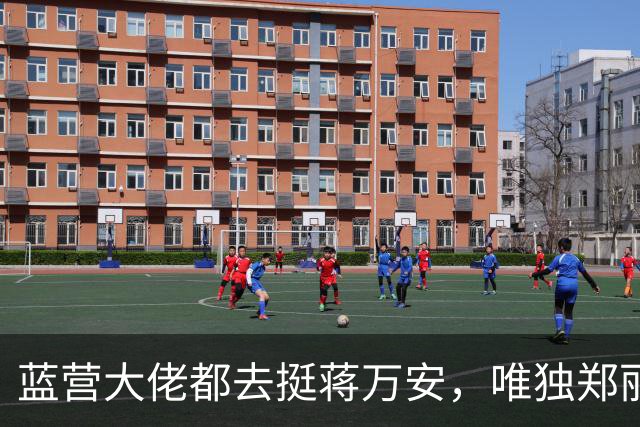 蓝营大佬都去挺蒋万安，唯独郑丽文缺席，她到底在忙什么？