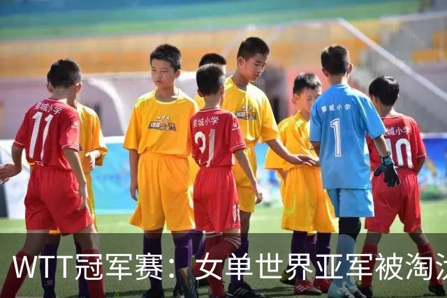WTT冠军赛：女单世界亚军被淘汰！0:3出局，王艺迪晋级女单8强